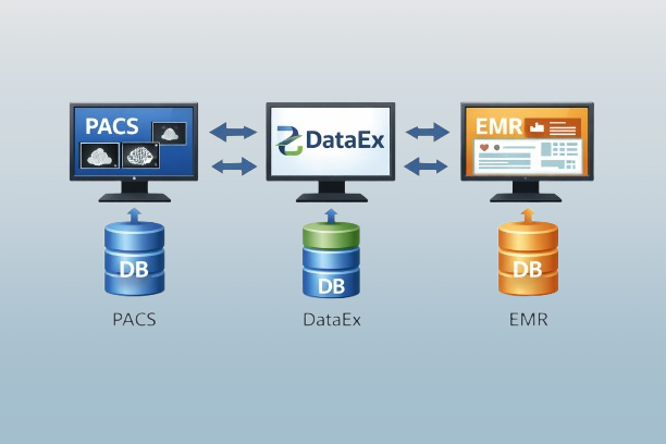 Data integration diagram (sample)